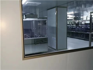 Shenzhen Shajing Lemon Construction Site