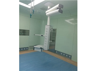 Jiangxi New Ganjiang Pharmaceutical Construction Site