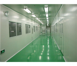 Thousand level purification workshop